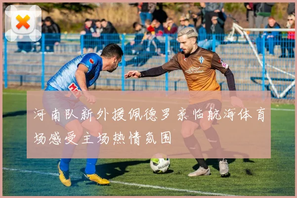 河南队新外援佩德罗亲临航海体育场感受主场热情氛围